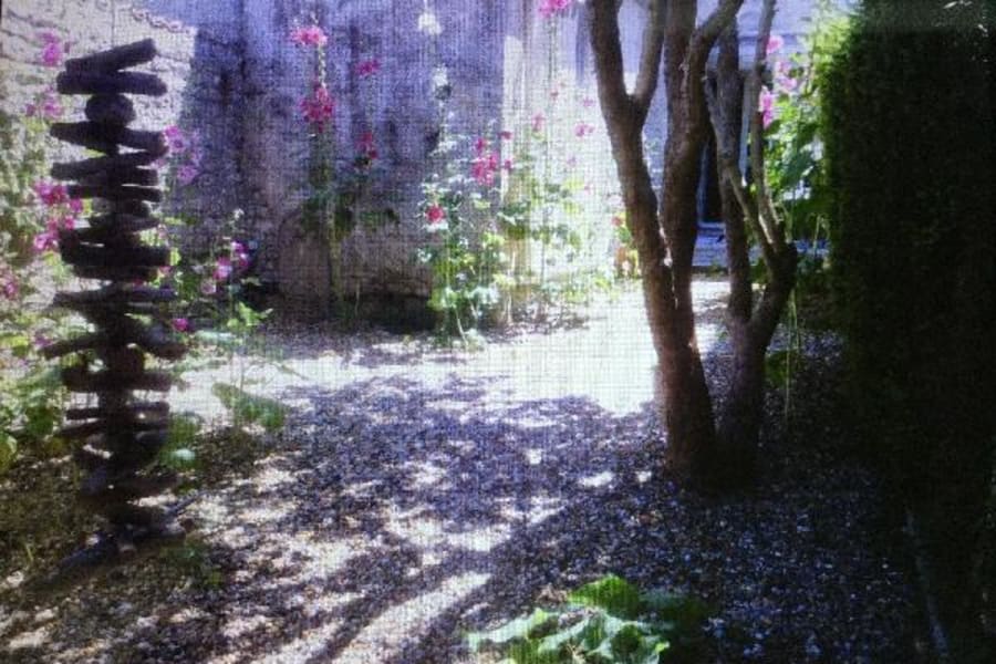 Photo 5