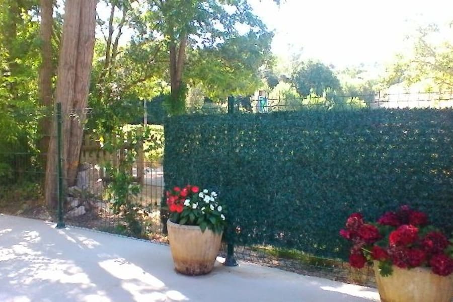 Photo 7