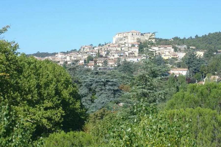 Photo 6