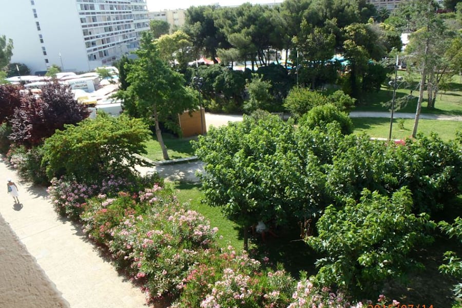 Photo 17