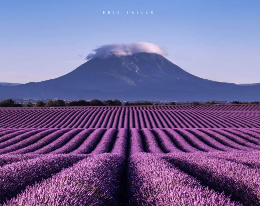 tourisme digne les bains, plateau de valensole