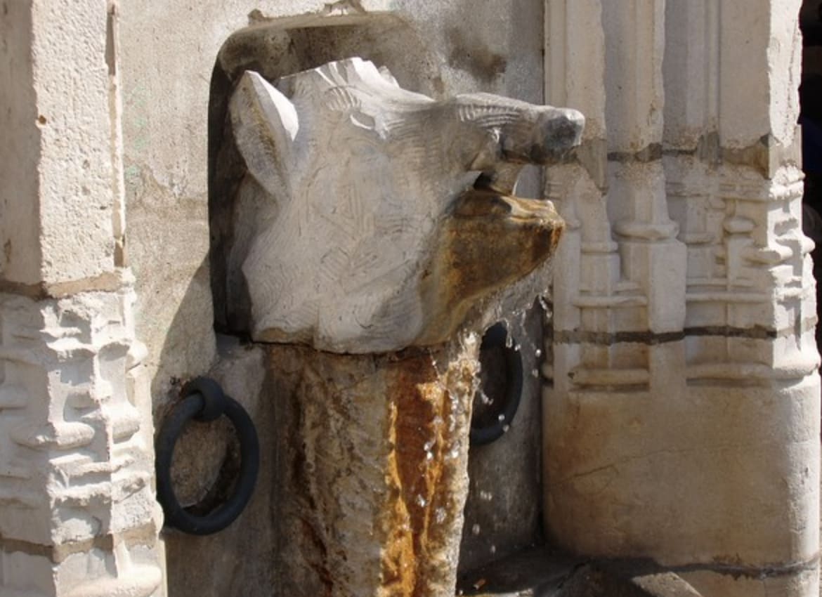 tourisme salies-de-bearn, fontaine du sanglier