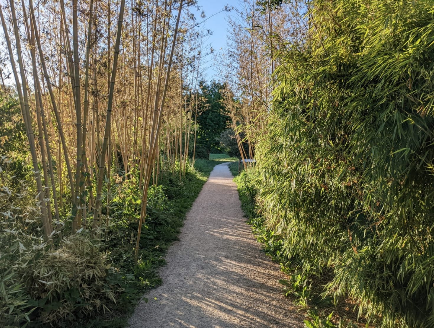 Tourisme aix-les-bains, jardin vagabond