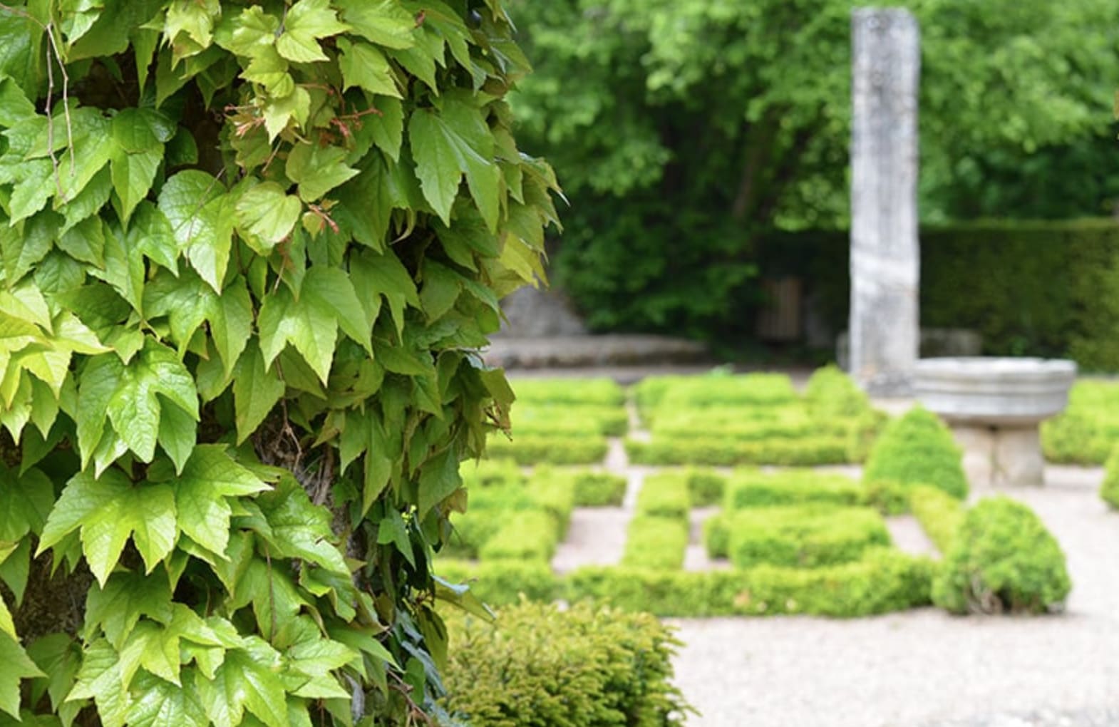 tourisme bourbon lancy : Le jardin de la Collégiale