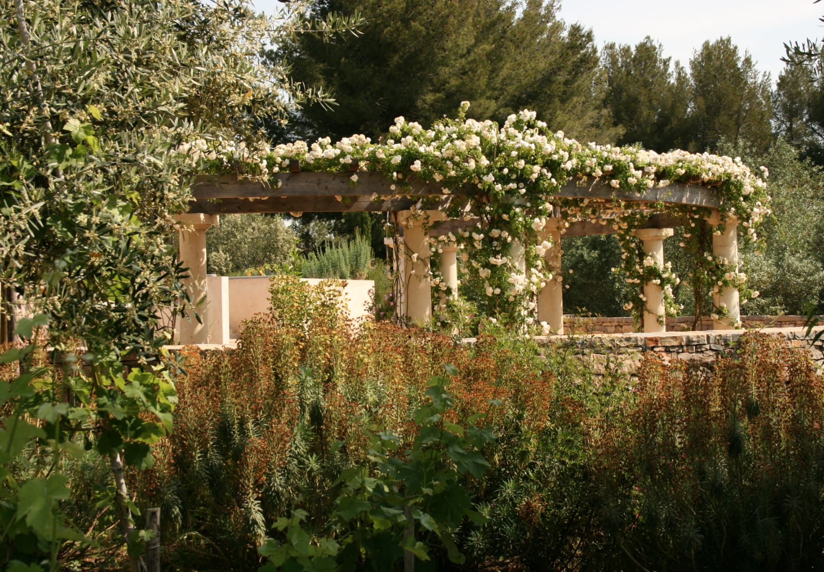 tourisme balaruc les bains, jardin antique mediterraneen