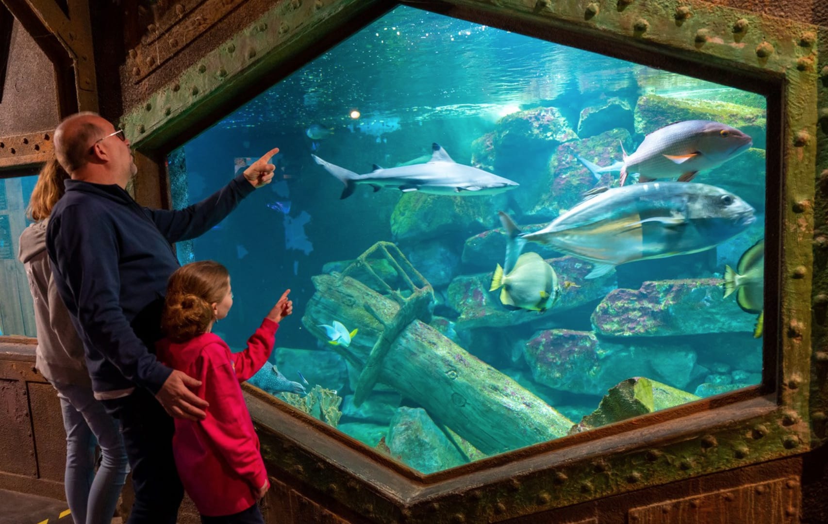 tourisme amnéville, aquarium