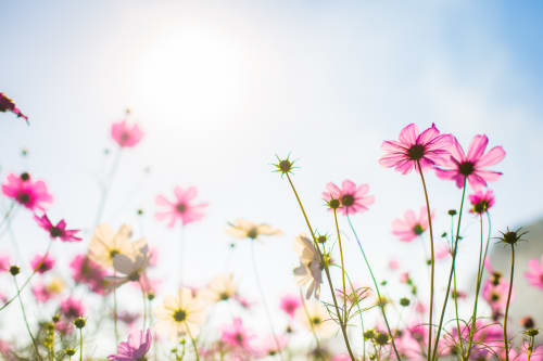 Une cure thermale pour réduire les allergies