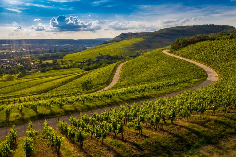 vignobles bourgogne