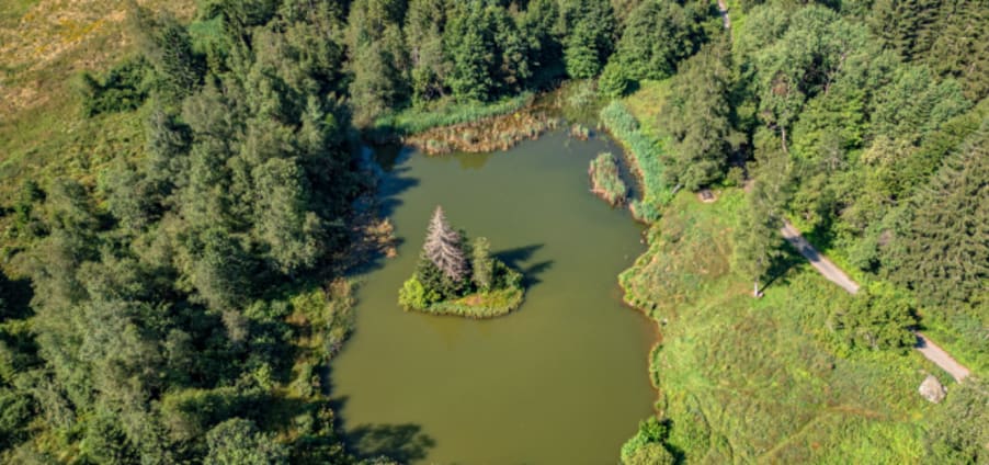 tourisme uriage les bains, marais des seiglieres