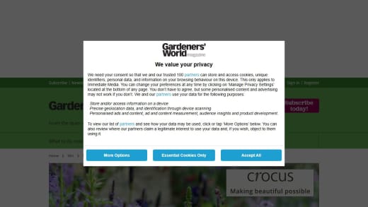 £1,000 Voucher To Spend At Crocus