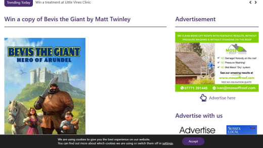 Copy Of Bevis The Giant