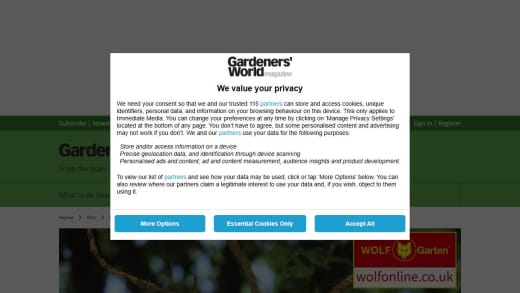 Wolf-Garten Gardening Tool Set