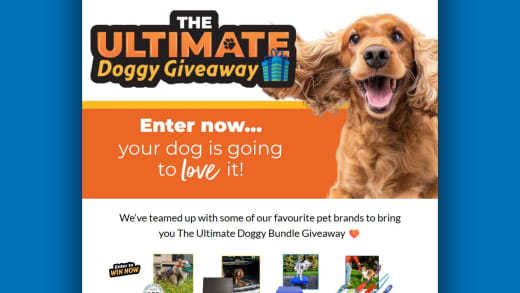 Ultimate Doggy Bundle