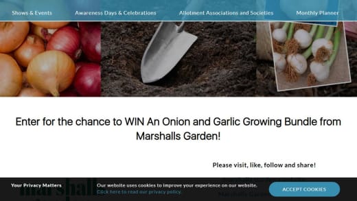 Onion And Garlic Growing Bundle