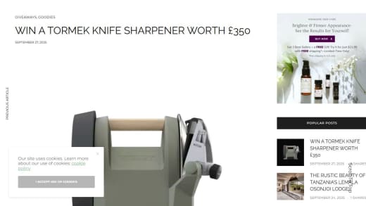 Tormek T-1 Kitchen Knife Sharpener