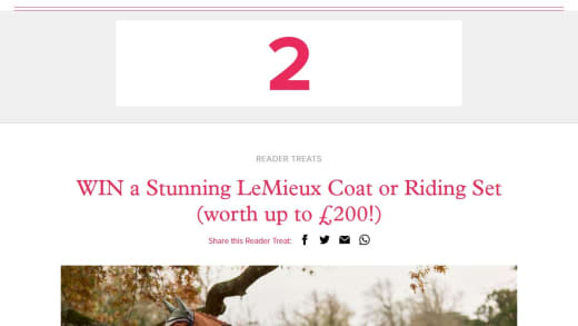 Equestrian Coat or Riding Set