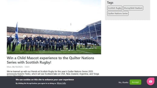Child Mascot Experience For Rugby Series