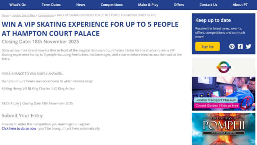 VIP Skating Experience