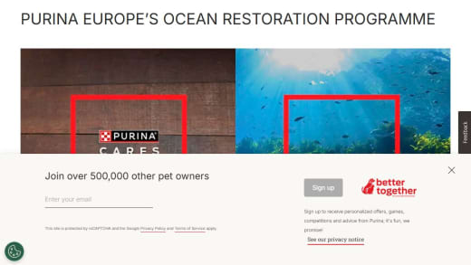 Six Months Of Purina Pet Food Supply