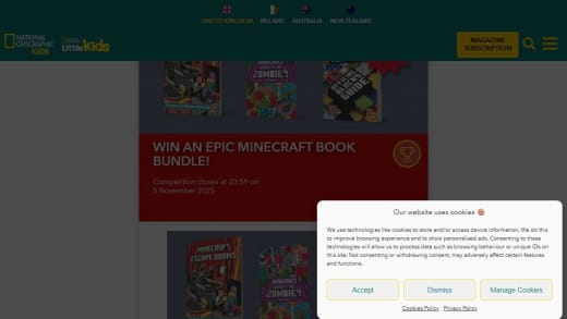Minecraft Book Bundle