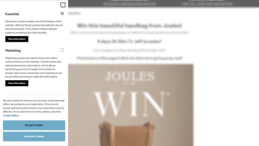 Beautiful Handbag From Joules
