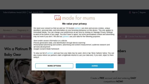 Platinum Pram Service and Valet Plus Extra Baby Gear Cleaning