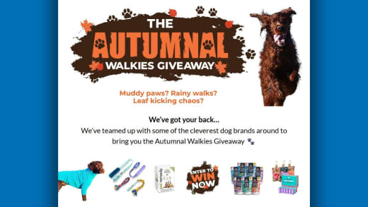 Dog Product Bundle
