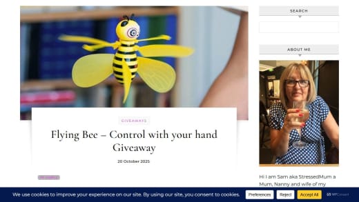 Hand Controlled Flying Bee Toy