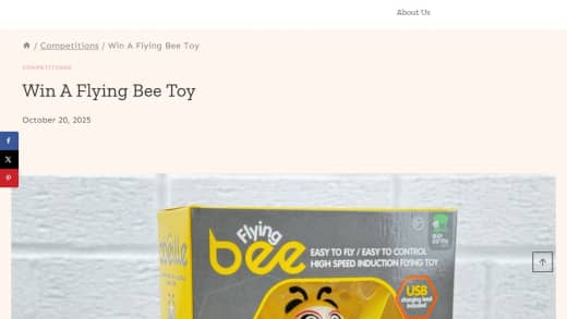 Flying Bee Toy
