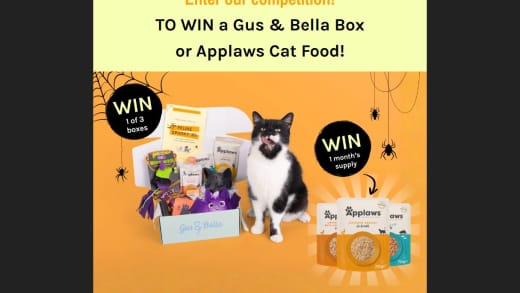 Win Cat and Human Subscription Box or Applaws Cat Food Supply Cat and Human Subscription Box or Applaws Cat Food Supply