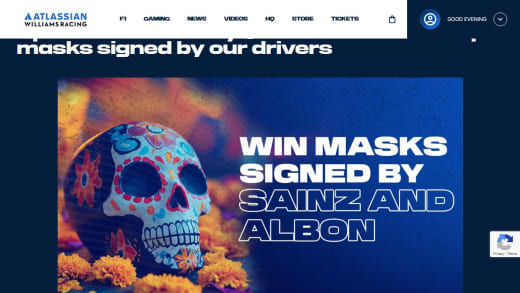 Customised Wrestling Masks Signed By Formula 1 Drivers