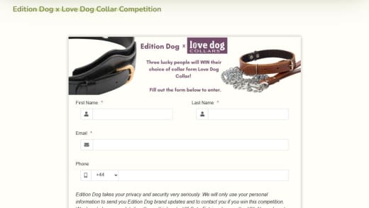 Win Dog Collar Dog Collar