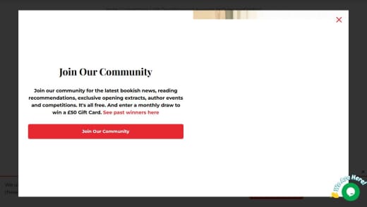 David Bowie And Alexander Mcqueen IconGraphics Sets