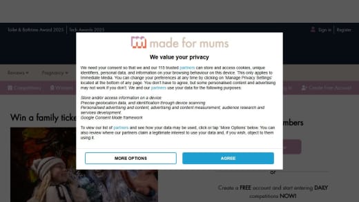 Family Ticket To Castle Of Light Fire & Ice