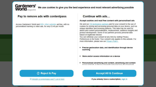 Seasonal Flower Subscription