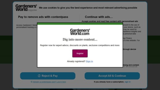 Smart Bird Feeder and Subscription