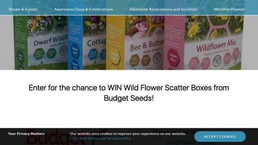 Wildflower Scatter Boxes Set