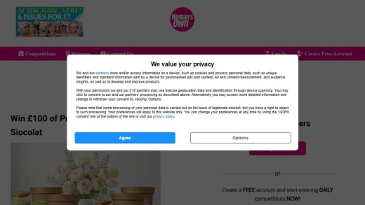 Protein Duo: Matcha & Ube