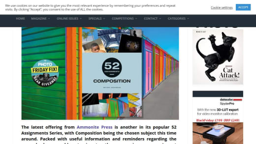 Copy of 52 Assignments: Composition Book