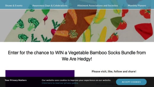 Vegetable Bamboo Socks Bundle