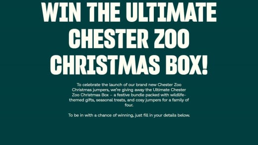 Ultimate Chester Zoo Christmas Box