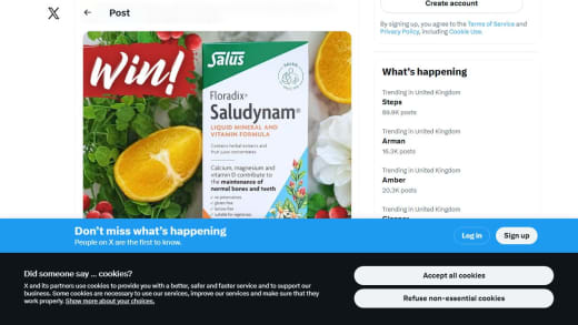 Floradix Saludynam Bottle