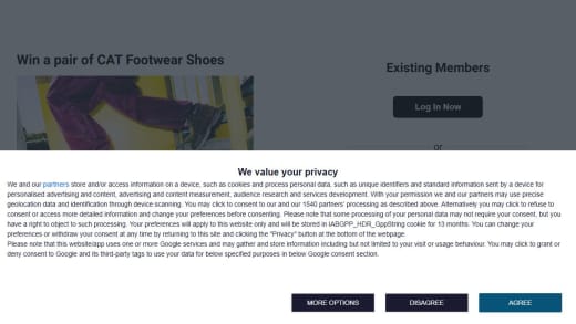 Pair Of Cat Footwear Shoes