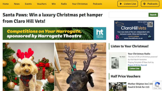 Luxury Christmas Pet Hamper