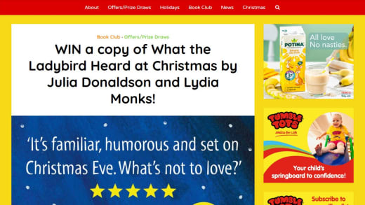 What The Ladybird Heard At Christmas Book Copy