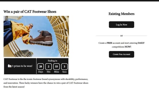 Pair Of Cat Footwear Shoes