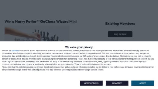 Harry Potter GoChess Wizard Mini