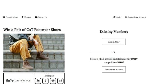 Pair Of Cat Footwear Shoes