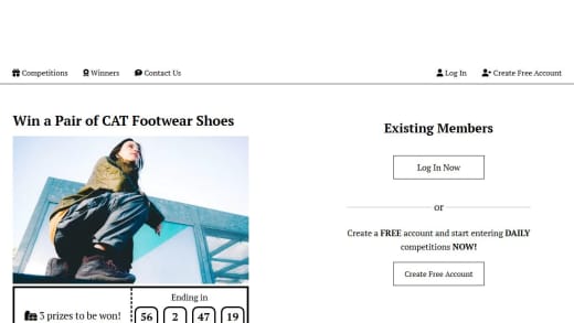 Pair Of Cat Footwear Shoes