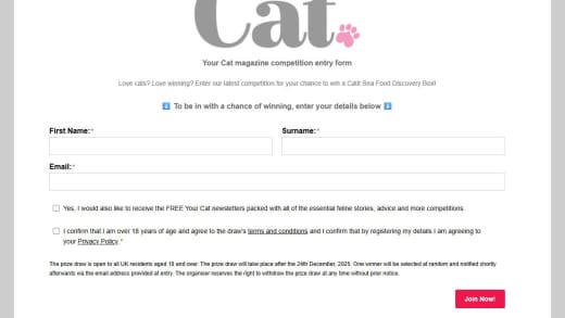 Catit Sea Food Discovery Box